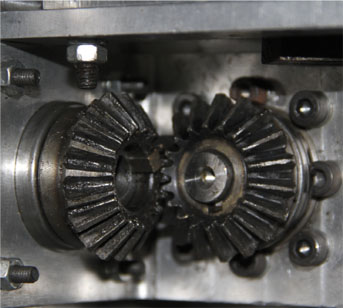 เฟืองดอกจอก